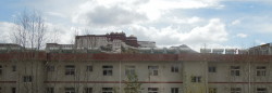 Lhasa_Header