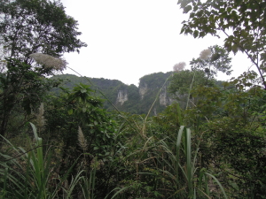 mountain_jungle