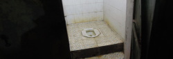 toilet_header